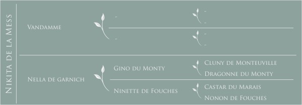 Pédigré Cora de Limpach
